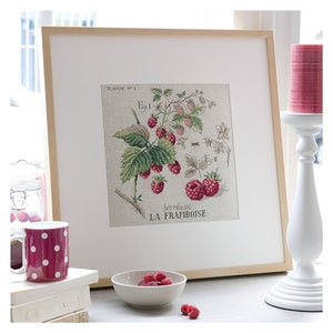 A Raspberry Study (Framboise) Aida Half-Kit by Les Brodeuses Parisiennes