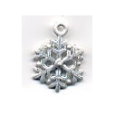 Susan Clarke Charm 5 Snowflake